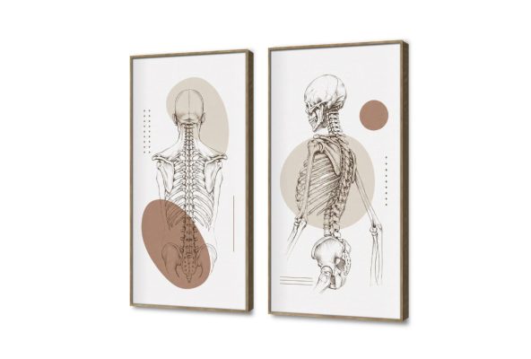 لوحة فنية مودرن بتصميم تشريحي هادئ SA109132 كل التابلوهات المودرن, اعمال و شركات, عيادات - طبيه - مستشفيات ابيض - اوف وايت, اسود, بنى - بيج بسيط و هادئ, رسم خطى, مودرن مكاتب – شركات - اعمال ببرواز, برواز خشبى, مربع
